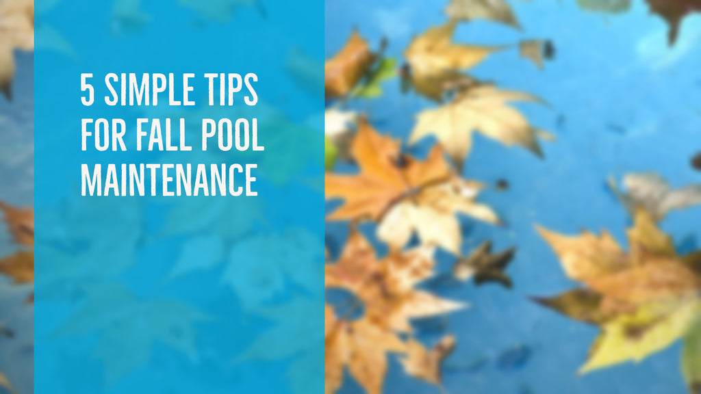 5-simple-tips-for-fall-pool-maintenance-discovermystore