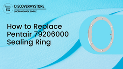 How to Replace Pentair 79206000 Sealing Ring