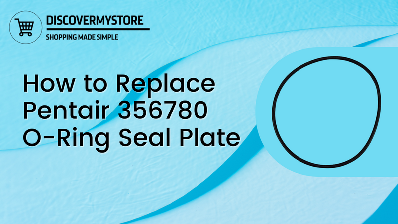 How to Replace Pentair 356780 O-Ring Seal Plate