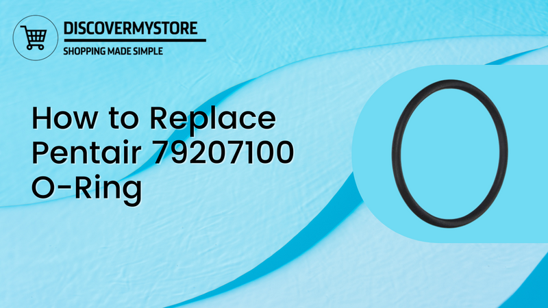 How to Replace Pentair 79207100 O-Ring