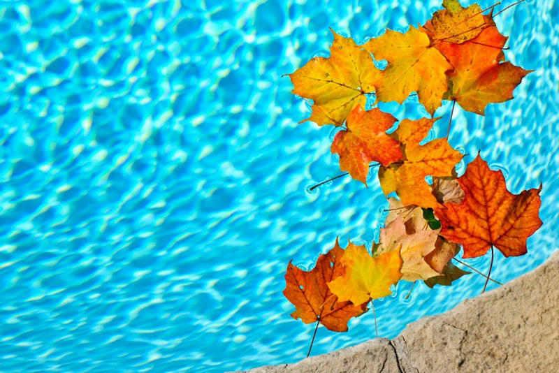 Preparing Your Pool for Cold Seasons