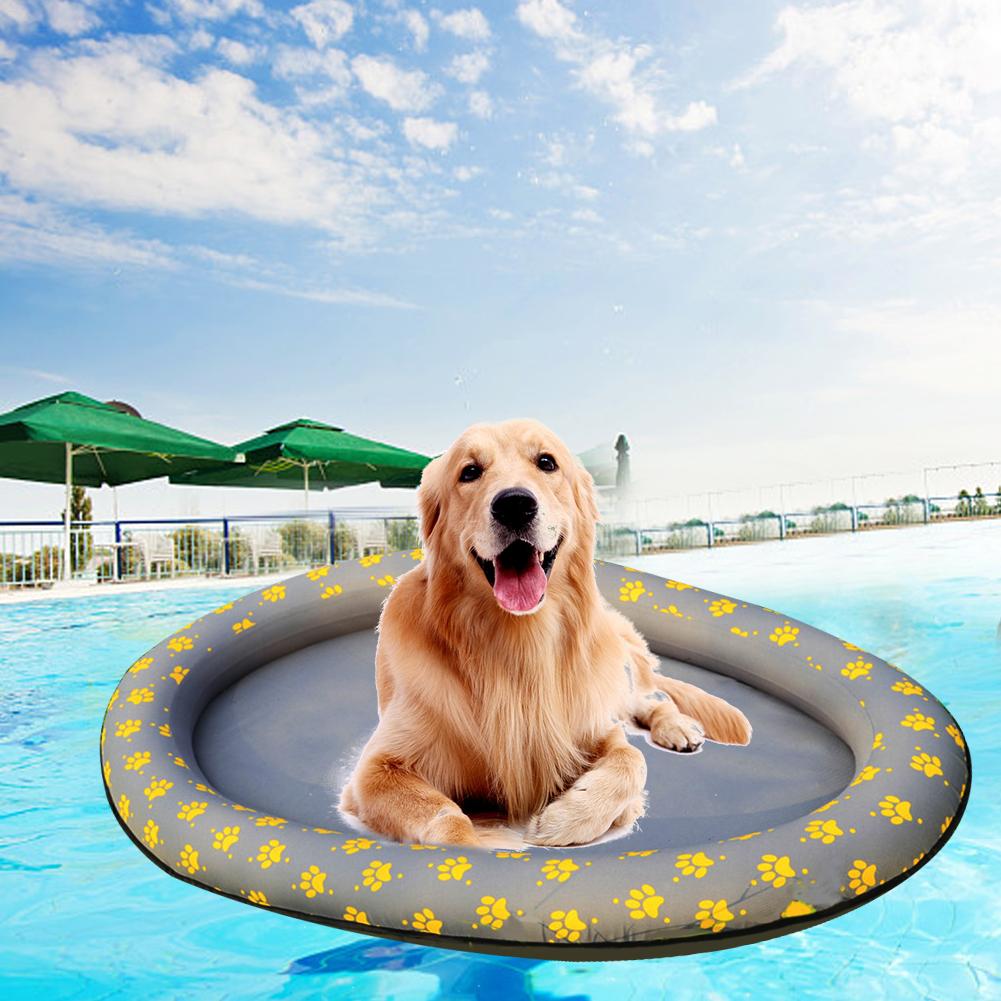 Top 7 Best Dog Pool Toys DiscoverMyStore