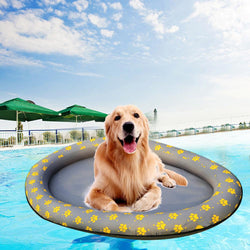Top 7 Best Dog Pool Toys