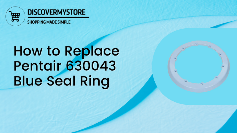 How to Replace Pentair 630043 Blue Seal Ring