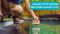 Alkalinity Up for Your Pool: How to Raise Alkalinity Level