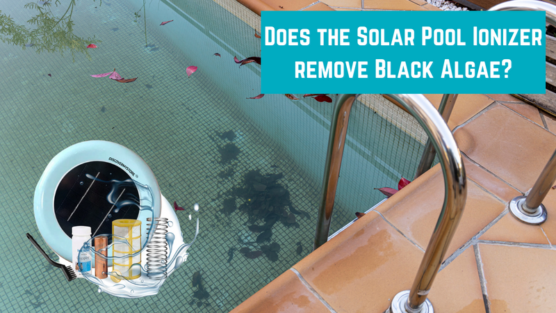 Does the Solar Pool Ionizer remove Black Algae?