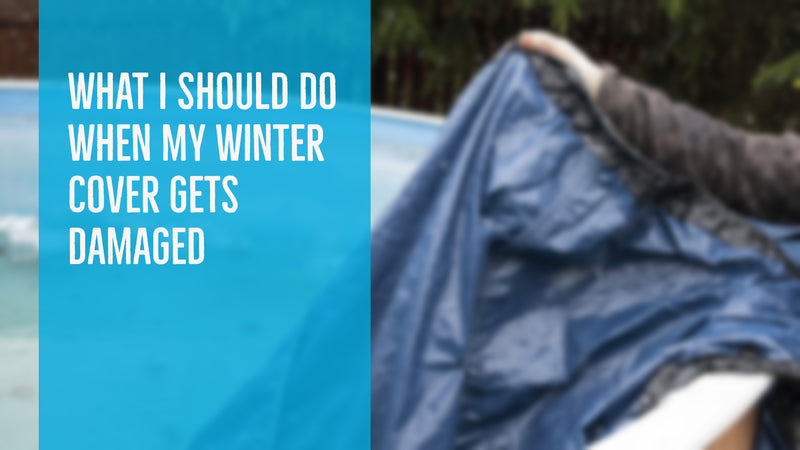 What I Should Do When My Winter Cover Gets Damaged