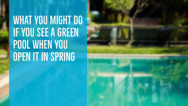 What You Might Do If You See A Green Pool When You Open It In Spring