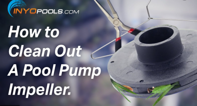 How To Clean Out a Pool Pump Impeller