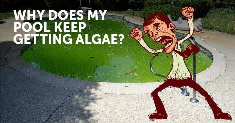 Why Does My Pool Keep Getting Algae?