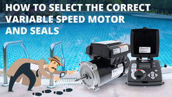 How to Choose the Correct Variable Speed Motor and Seals
