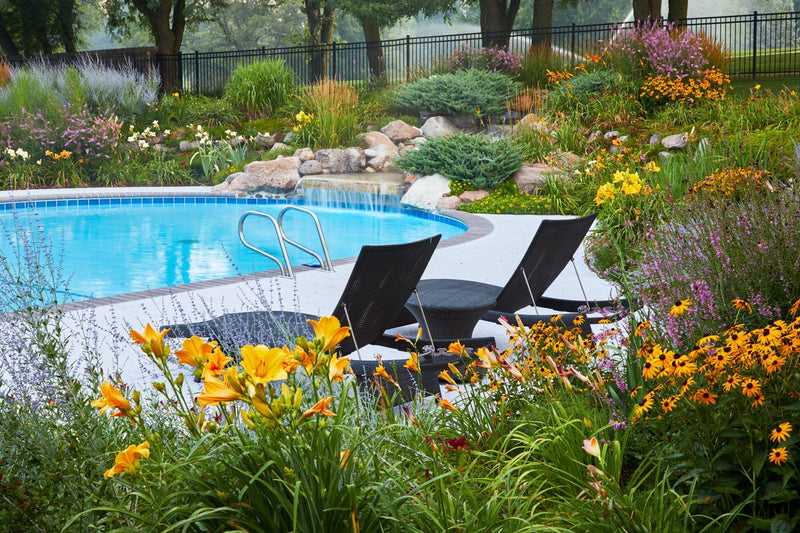 Pool Spring Bloom How To Open Your Swimming Pool (Spring Start Up In-Ground)