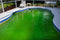 How To Keep Your Pool From Turning Green While You're Away