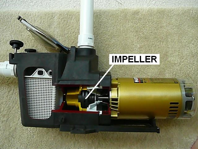 How To Change A Pool Pump Impeller