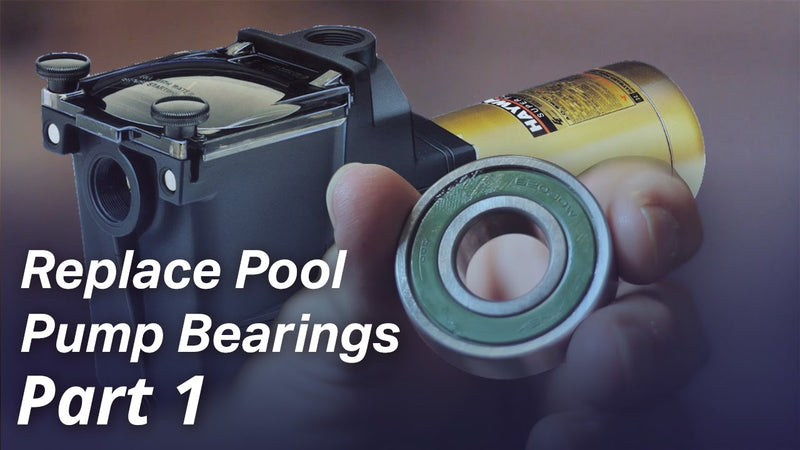 How To Replace the Bearings in a Pool Pump Motor - Part I