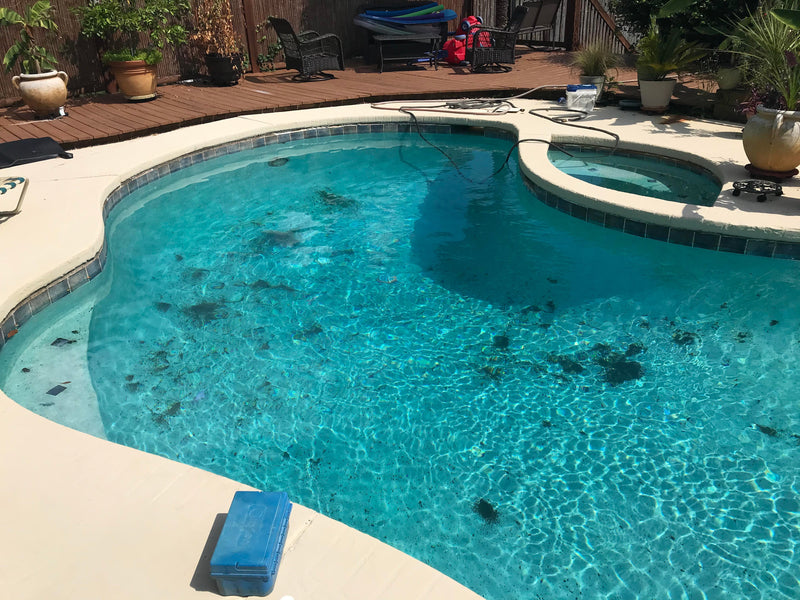 How to Get Rid of Black Algae From Your Pool