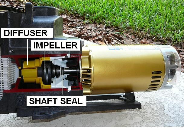 How To Change a Pool Motor Shaft Seal