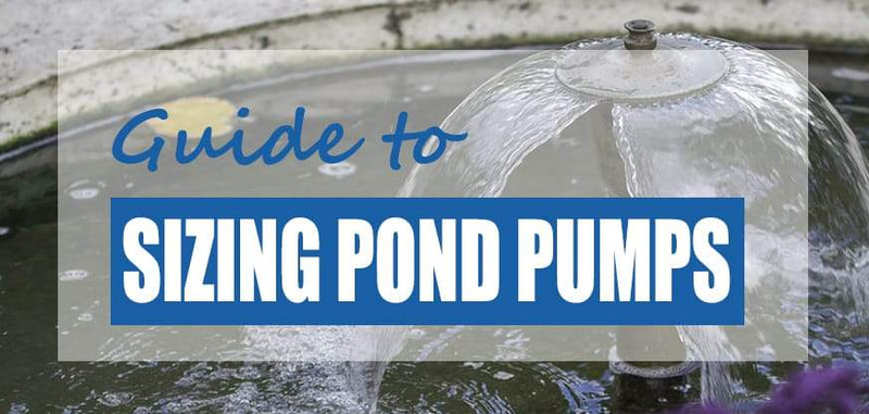 Sizing of a Pond Pump