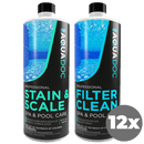 Spa Filter Clean & Stain and Scale Combo