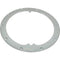 Pentair Large Stainless Steel Niches Liner-sealing ring, std. 10 hole Replacement Parts 79200200