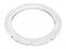 Pentair 619601Z Face Ring - White for Aqualumin III Lights
