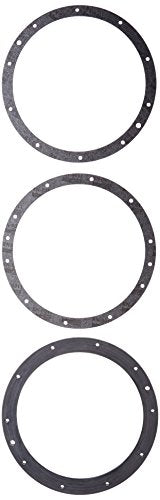 Pentair 79200700 10-Hole Standard Gasket Set with Double Wall Replacement Large Stainless Steel Niches