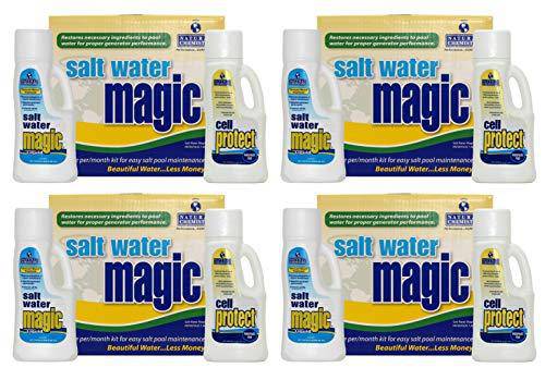 4) Natural Chemistry 07404 Spa Swimming Pool Water Magic Monthly Chemical Kits