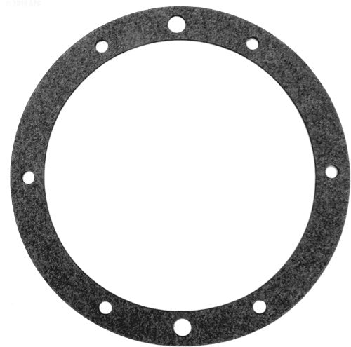 Pentair 79204600 Vinyl Gasket Replacement SpaBrite/AquaLight Pool and Spa Light Niche