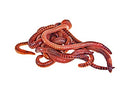 Best Value! 2000+ Red Wigglers Composting Worms Perfect for Worm Composting with Guaranteed Live Delivery Approximately 2 Pound Live Red Wiggler Worms Fast Delivery! (2000)