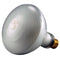 Pentair 79107600 300-Watt 120-Volt Bulb Replacement Pool and Spa Light