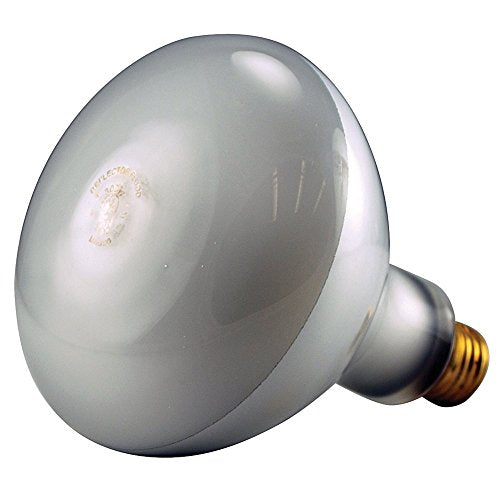 Pentair 79107600 300-Watt 120-Volt Bulb Replacement Pool and Spa Light