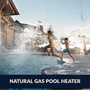 Hayward W3H250FDN Universal H-Series 250,000 BTU Natural Gas Pool and Spa Heater for In-Ground Pools and Spas