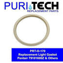 Aladdin Equipment PRT-O-170 Puri Tech American Lens Gasket Replacement for AmerLite/AmerQuartz Swimming Pool Lights 79101600