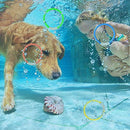 Anu Linen Underwater Diving Toy 4 Pcs Diving Ring Toy Pool Diving Colorful Training Toy Underwater Fun Toy Dog Pool Toys Pool Toys for Toddlers Kids 3-10 8-12