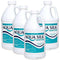 Aqua Silk 49900A Chorine-Free Sanitizer (0.5 gal) (4 Pack)