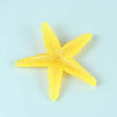 Balacoo 14pcs Dive Gem Toy Set Kids Summer Beach Toy Summer Diving Training Toy Plastic Sinking Gem Underwater Swimming Toy Bath Toys