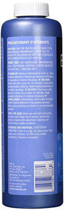 BAQUA Spa 88838 Waterline Control Spa and Hot Tub Cleanser, 32 oz