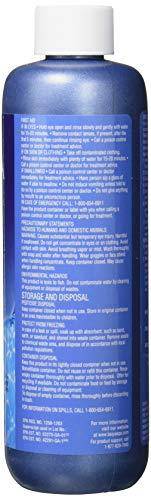 Baqua Spa 88855 Sanitizer Chlorine-Free Cleaner for Spas and Hot Tubs, 16 fl oz