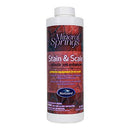 BioGuard Mineral Springs Stain and Scale (1 qt) (1)