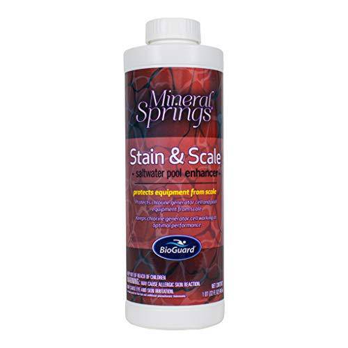 BioGuard Mineral Springs Stain and Scale (1 qt) (1)