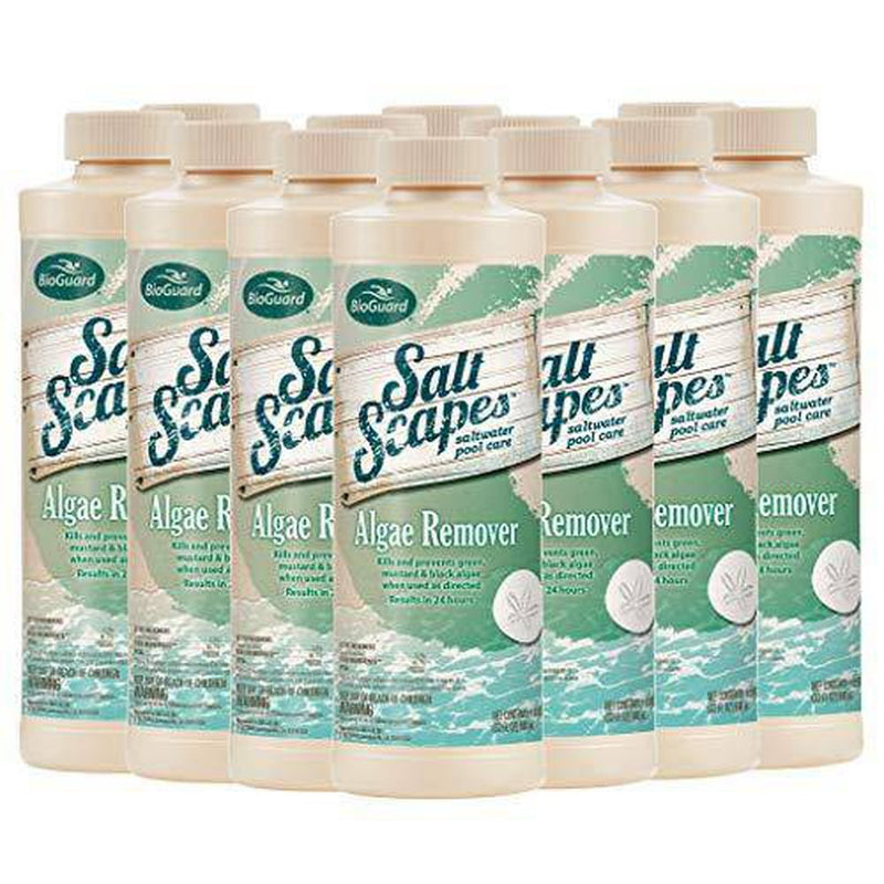 BioGuard Salt Scapes Algae Remover (1 qt) (12 Pack)