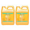 Brilliance for Spas pH True - 1 qt - 2 Pack