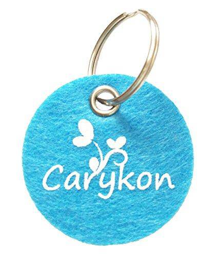 Carykon 8 Pcs Dive Rings Underwater Swimming Pool Toy Rings-5 1/2 Inch Diameter