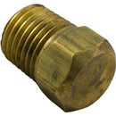 Champlain Plastics P0026800Plus Laars Brass Plug44; 0.25 in.