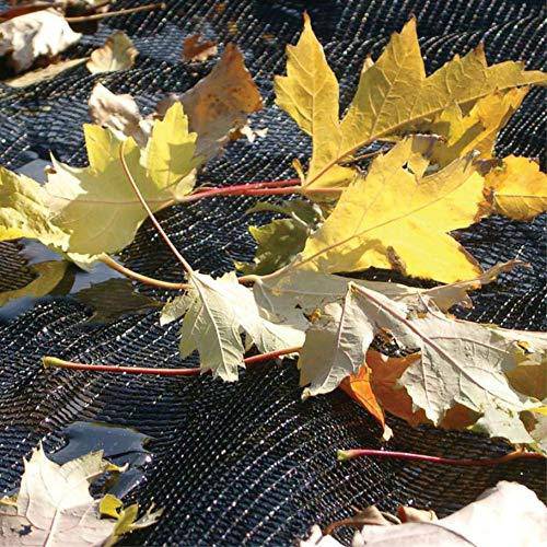 Doheny's Professional Grade Leaf Nets for In-Ground Swimming Pools | Makes Clean-Up Fast! | Versatile, Lightweight and Durable | Keeps Leaves Out of Your Pool! (16' x 32', Economy)