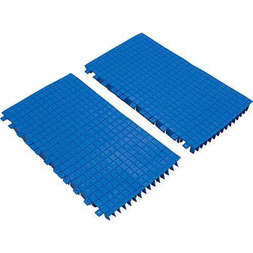 DOLPHIN Replacement Brush - Blue