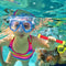 FastUU Diving Toys for Pool, Diving Toys, Soft Convenient Non-Toxic for Children Kids