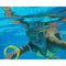 for 12 Pack Pool Rings for Kids Adults Diving Pool Dive Outdoor Water Toys, 4 Colors Party Supplier for Home Décor