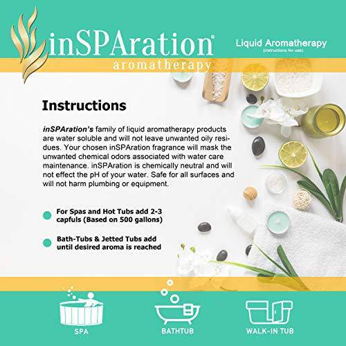 inSPAration Spa and Bath Aromatherapy 100HOLHSX Spa Liquid, 9-Ounce, Holiday Spice