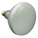 Jandy Flood Lamp, 100W, 120V, Small White Light